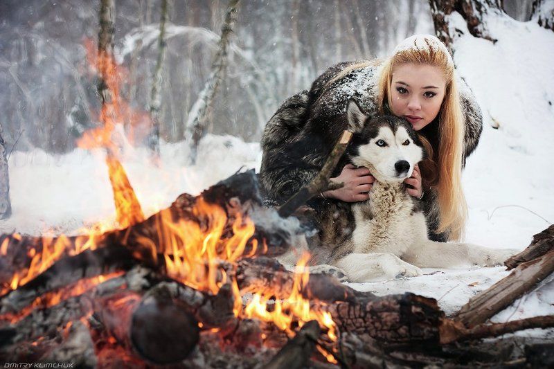 Приручение волковphoto preview