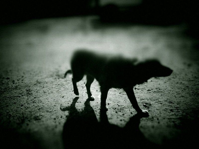 наивностьphoto preview