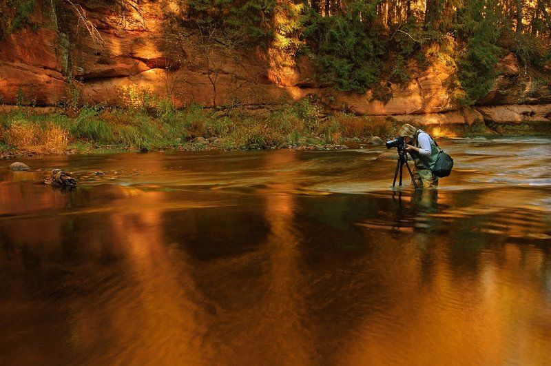 Свет - золото для фотографа.photo preview