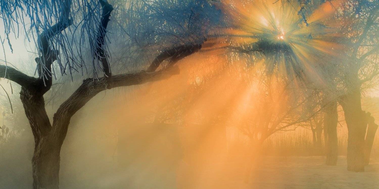 город, парк, зима река кубань, ФЁДОР