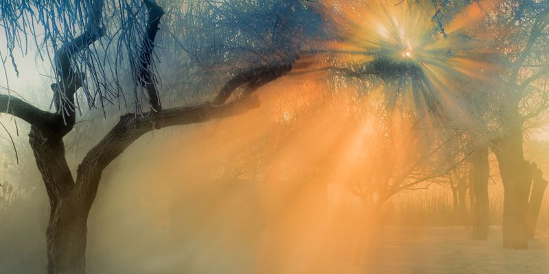 город, парк, зима река кубань МОРОЗНЫМИ ТРОПАМИ -2photo preview