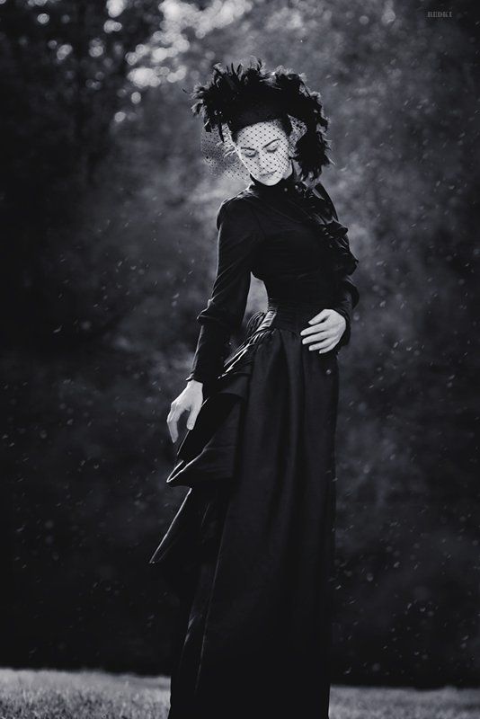 Blizzardphoto preview