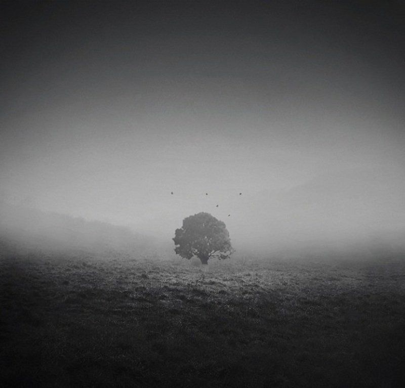 Туманное утро..photo preview