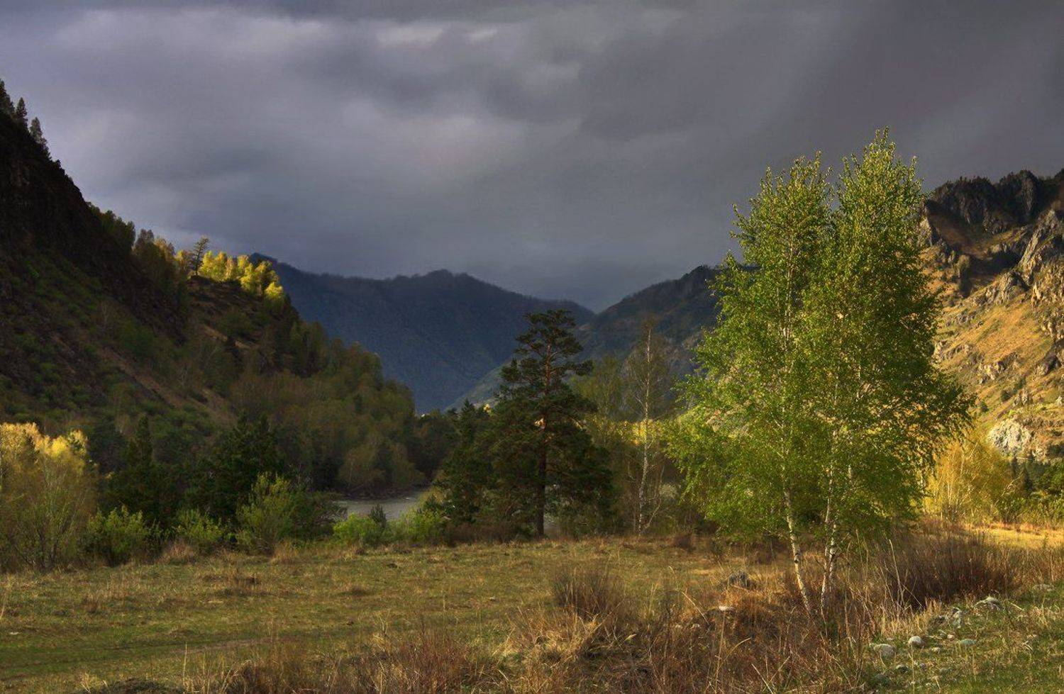 , Галина Хвостенко