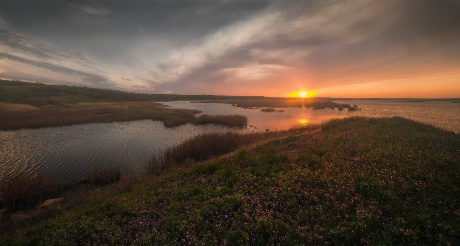 Июньский вечер. Автор: vadlen , vadlen