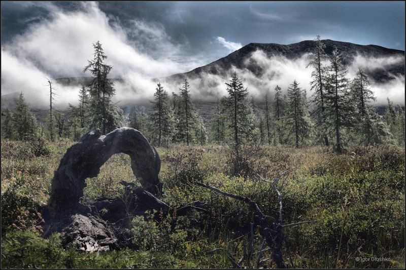 бурятия, тайга, горы, арка, портал Таежный порталphoto preview