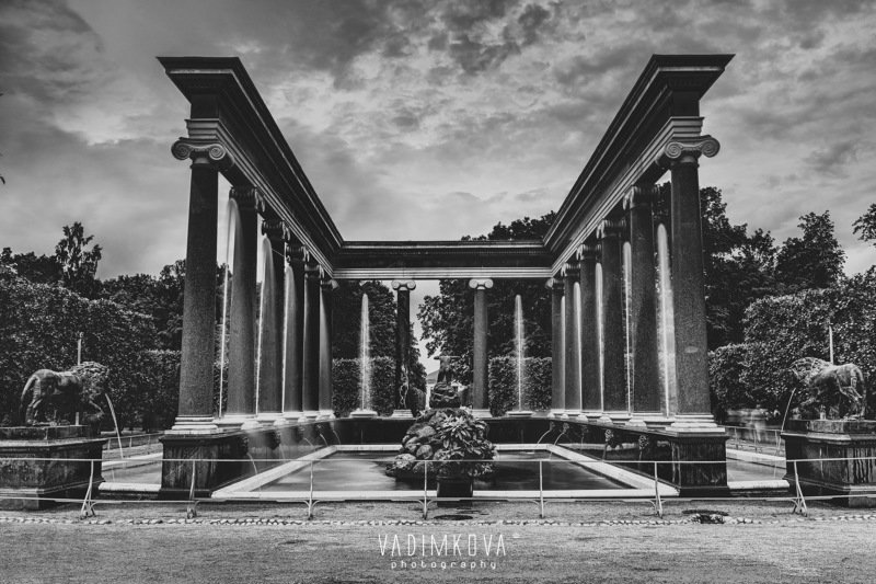 питер, петергоф, архитектура, сад, ч-б фотография Старый Петергофphoto preview