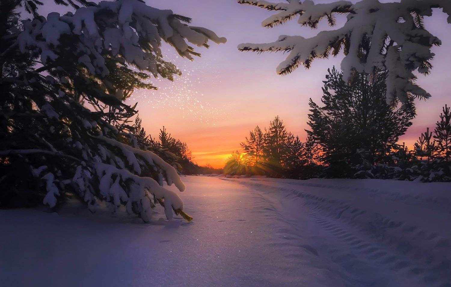 , Руслан Джамалов