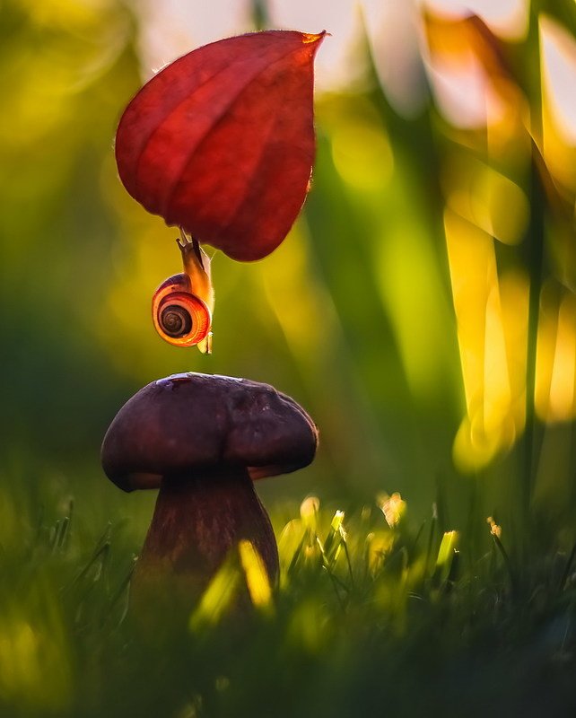 За 80 дней вокруг света.photo preview