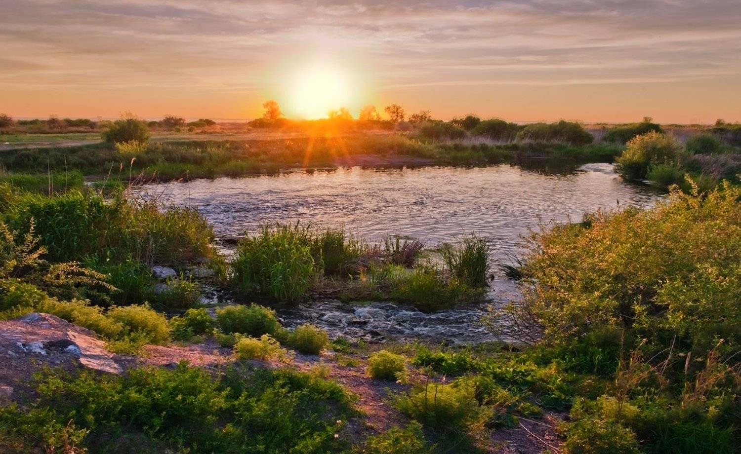 закат, степь, озеро, камыш, Андрей Журавлев