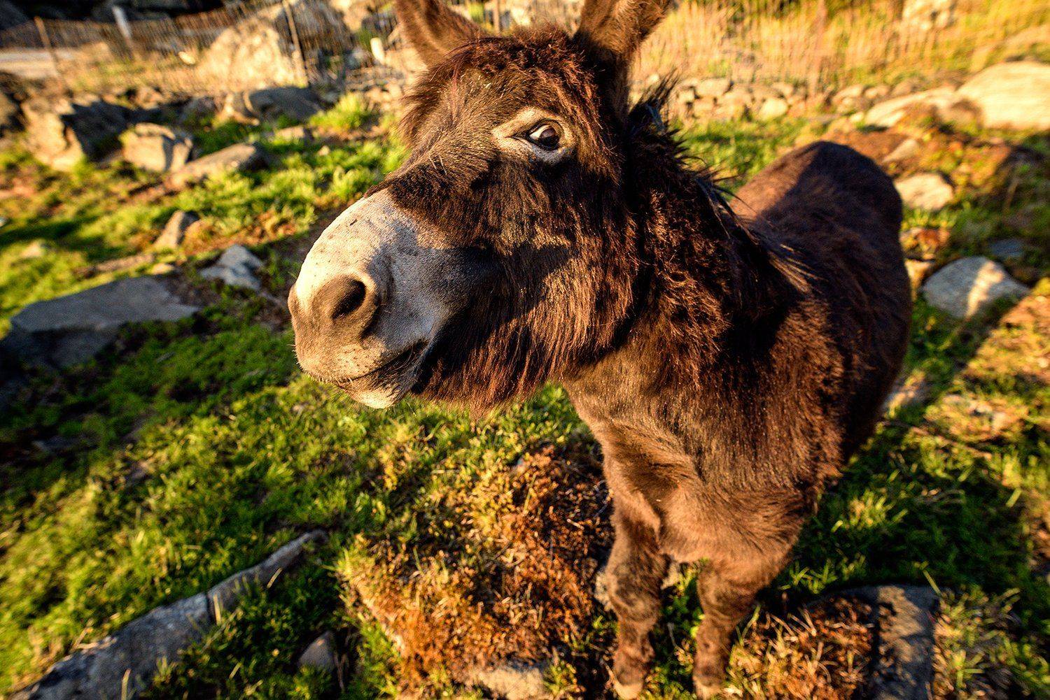 , Сергей Скоробогатов