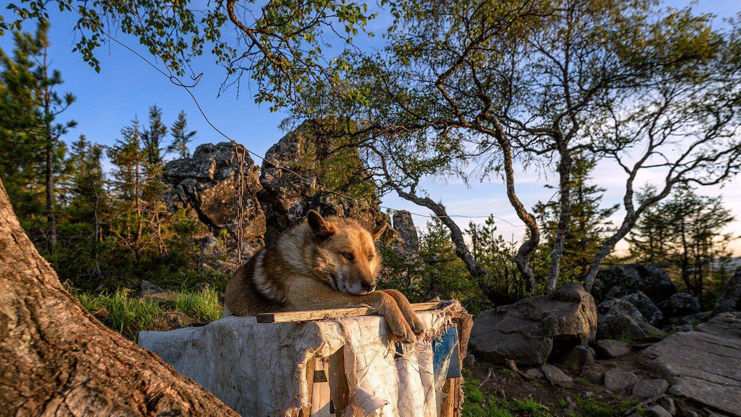 Хранитель горы Качканар. Автор: Сергей Скоробогатов , Сергей Скоробогатов