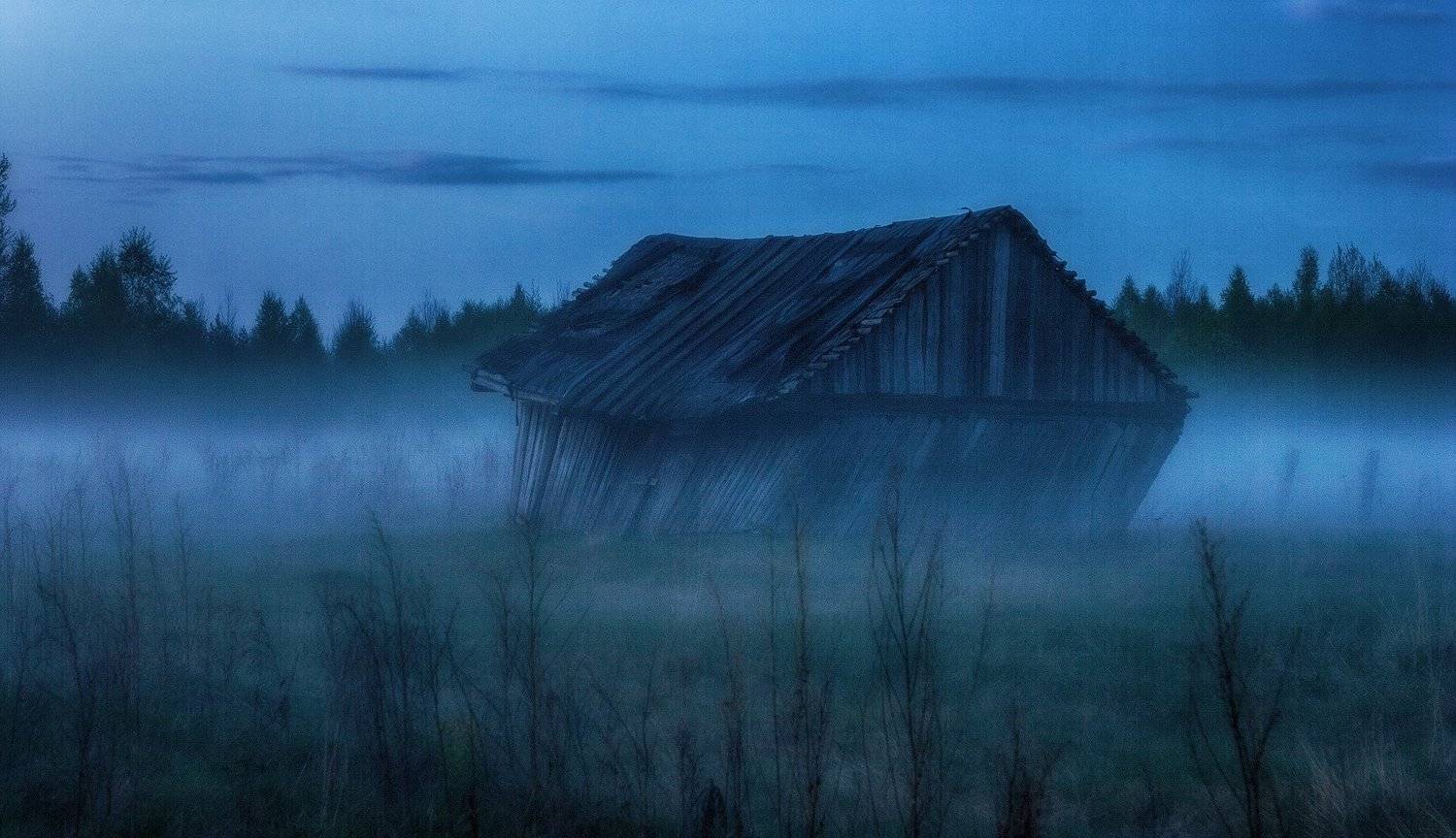 .... Автор: Владимир Липецких туман, закат, сарай, разруха, Владимир Липецких