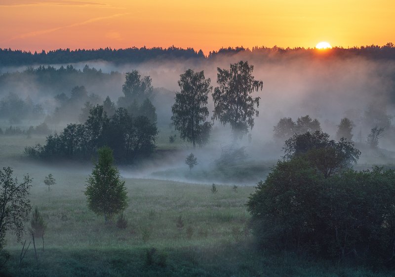 Вот и солнце..photo preview