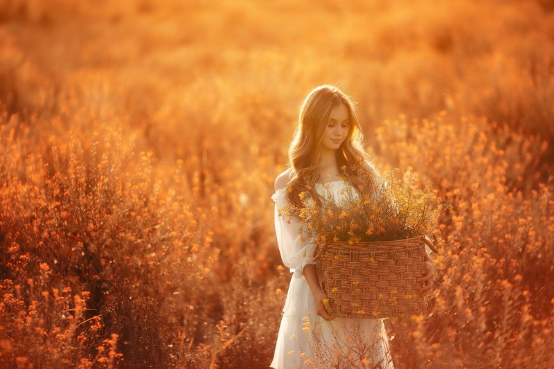 Закатphoto preview