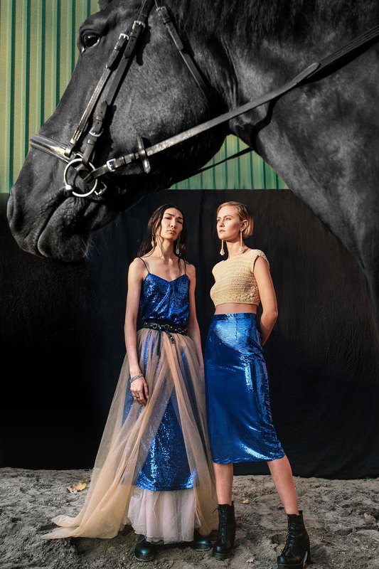 horses, fashion, editorial, art, horse The Royal Roadphoto preview
