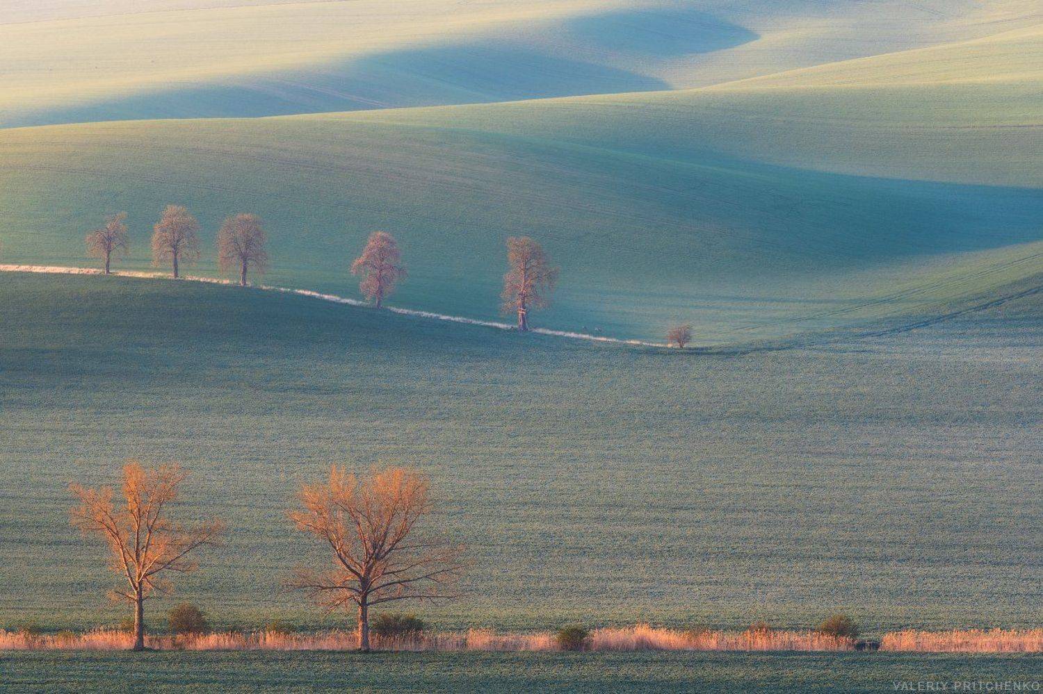 С первыми лучами. Автор: Валерий Притченко morava, landscape, nature, south moravia, sunrise, южная моравия, чехия, природа, пейзаж, рассвет, Валерий Притченко