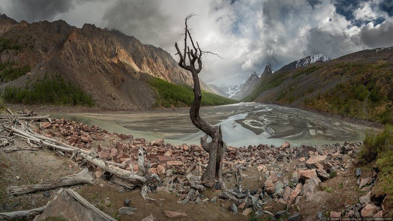 #алтай #маашей #мажой #цетральныйалтай #lake #mountainlake #deadlake #tree #nature #altai #nikon #nikond750 #panorama #pan #samyang #mountains #северочуйскийхребет #счх Душа мёртвого озераphoto preview