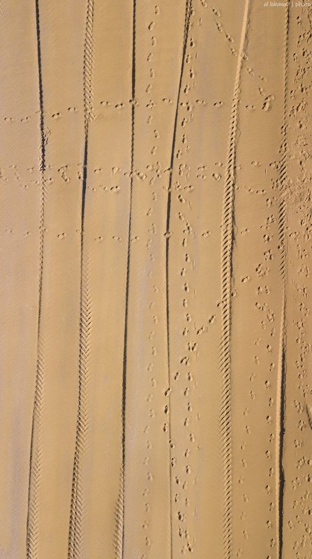 Строительный вальсphoto preview