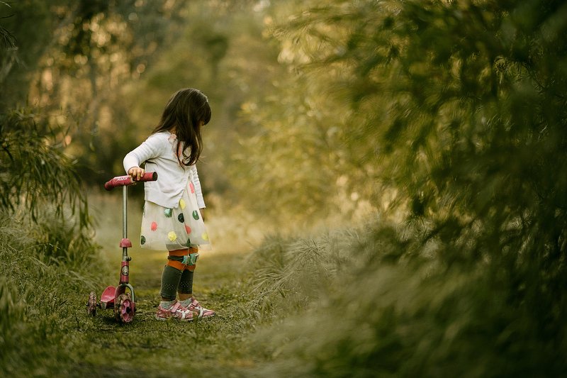 Delphiephoto preview