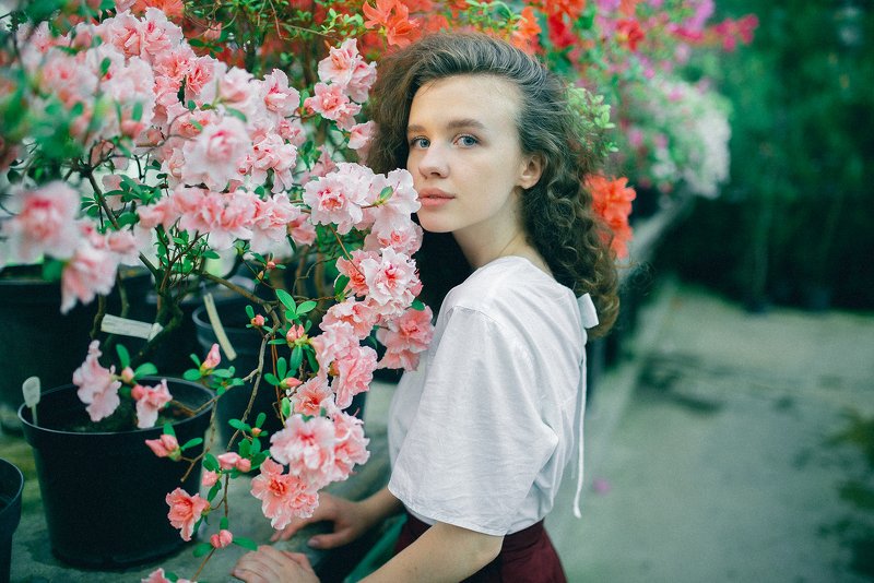 nikon Юляphoto preview