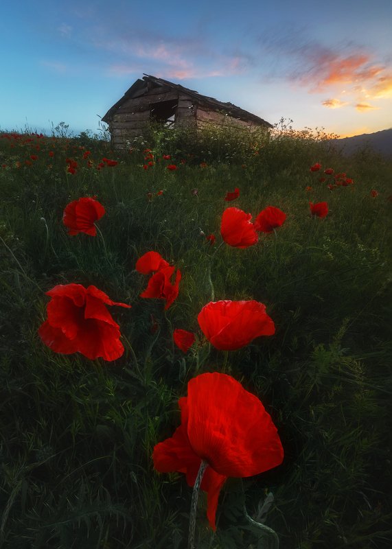 landscape Talesh Land Springphoto preview