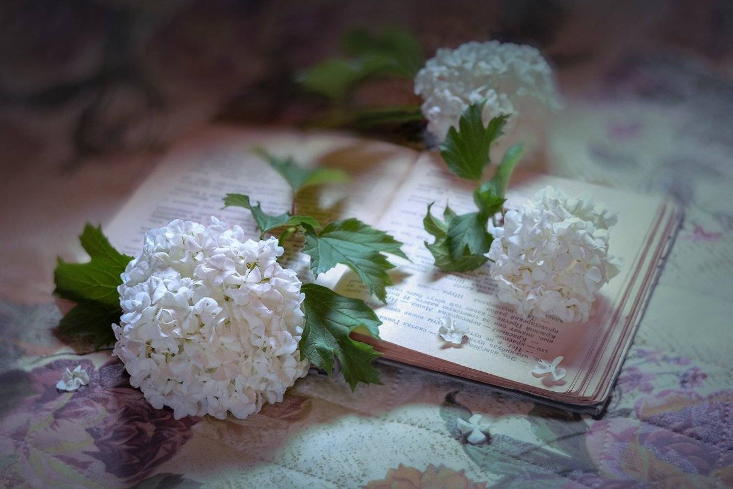 , Марина Никифорова