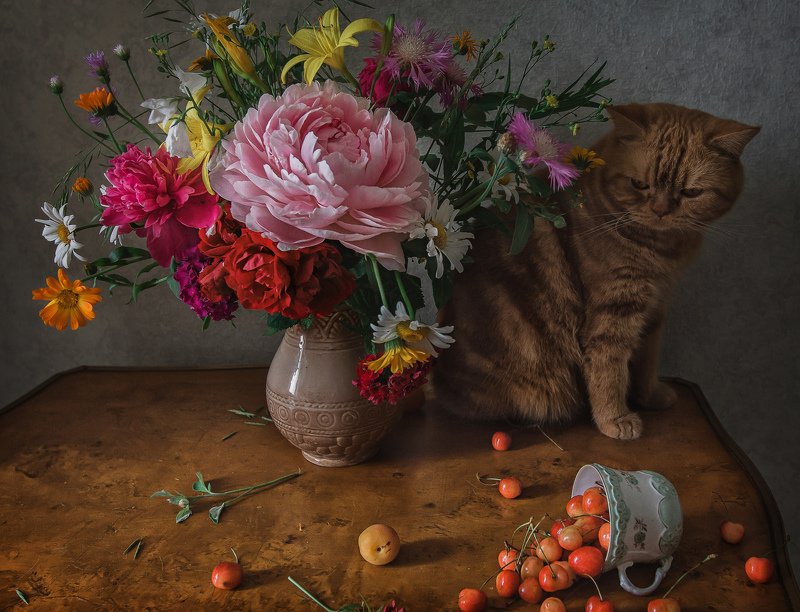 животные, кошки, кот, натюрморт, цветы, ягода, черешня Кот и букетphoto preview