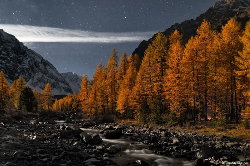 алтай, altai, осень, autumn, горы, mountains, night, ночь Время считать звёздыphoto preview