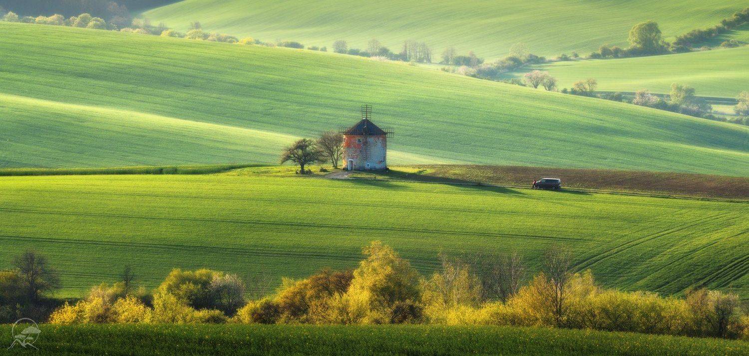 , Анатолий Гордиенко
