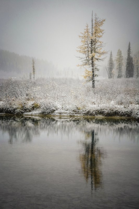 алтай,зима аритмияphoto preview