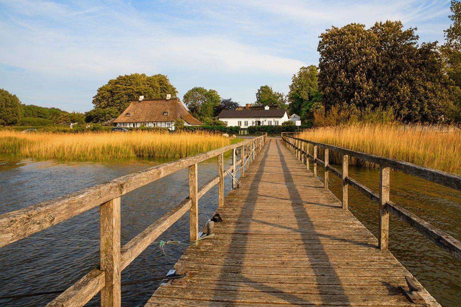 Автор: Игорь Дубровский , Игорь Дубровский