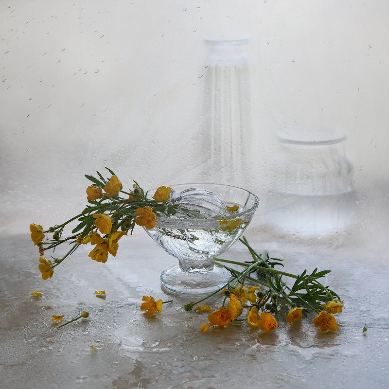 дождь, лютики, лето Летний дождьphoto preview