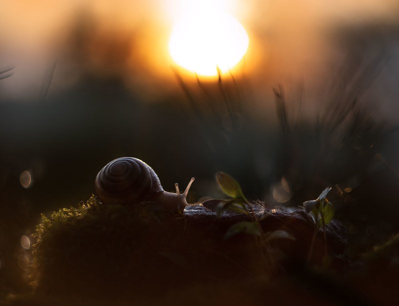 на закатеphoto preview