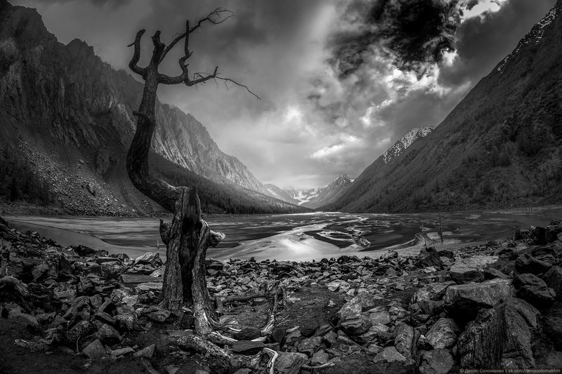 #фотоклуб #фотоклубсфера #сфера #алтай #маашей #мажой #цетральныйалтай #северочуйскийхребет #счх #nikon #nikond750 #samyang #чб Молитваphoto preview