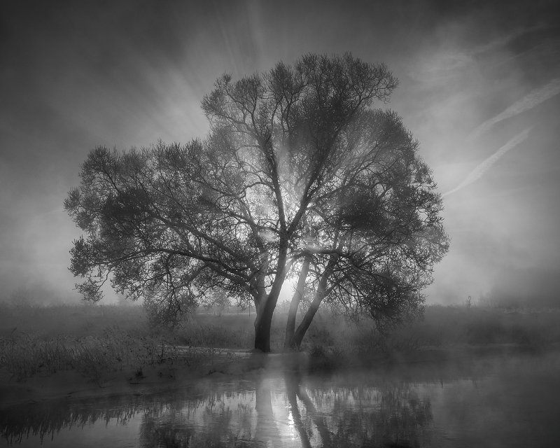 Черно-белый рассветphoto preview