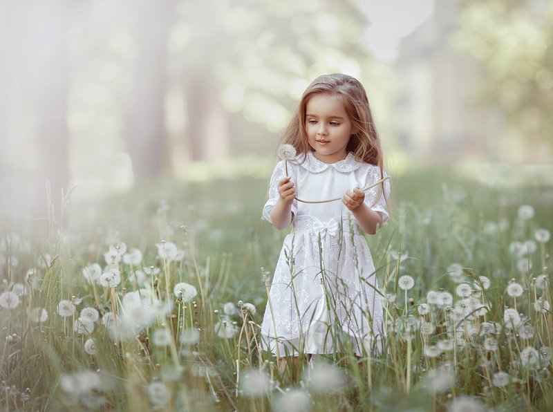 детство, детский портрет, лето, девочка, настроение, одуванчики, белое Одуванчиковое настроениеphoto preview