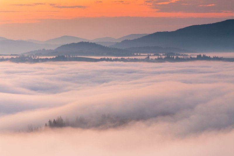 горы, карпаты, лето, рассвет, туман, украина, утро Летнее утро над Пилипцомphoto preview