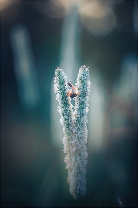 Ну, могЁм! Не могЁм, а мОгем! photo preview