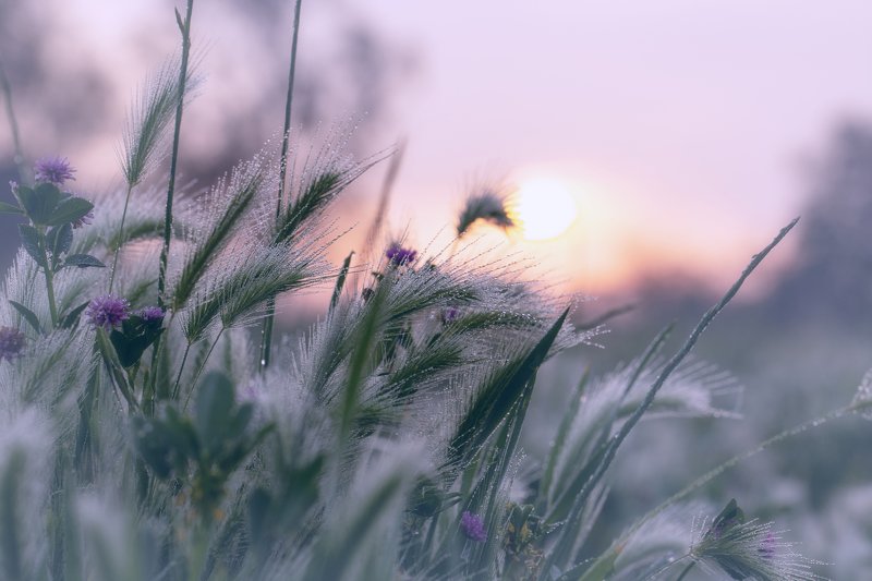 Холодный рассвет..photo preview