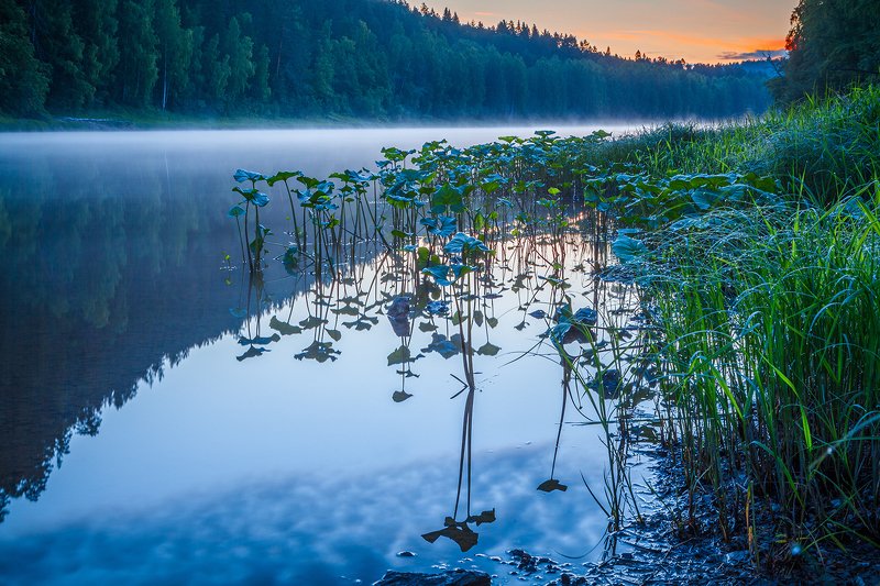 Чусоваяphoto preview