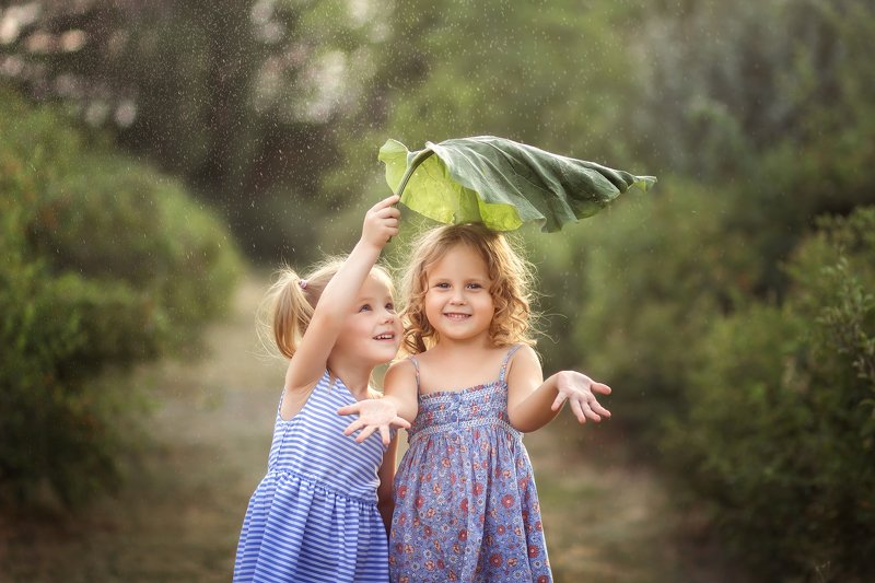 Грибной дождикphoto preview