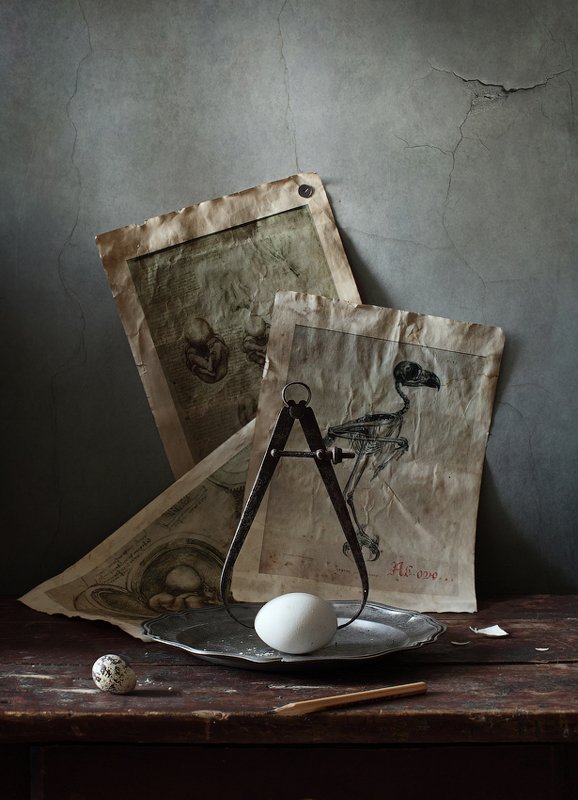 Ab ovo... - От яйца...photo preview