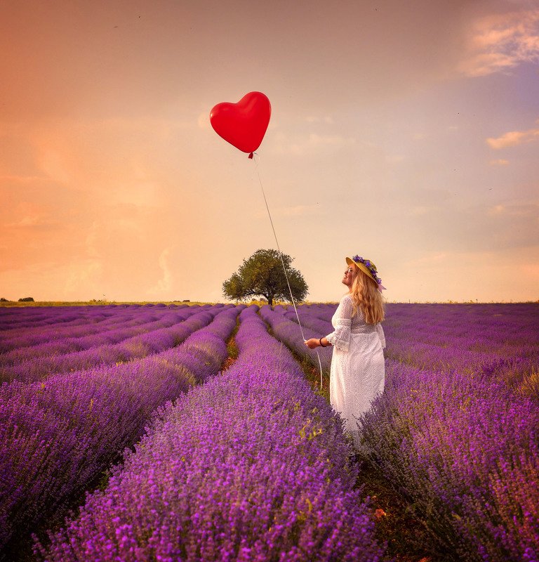 Landscape  Lavender Lovephoto preview