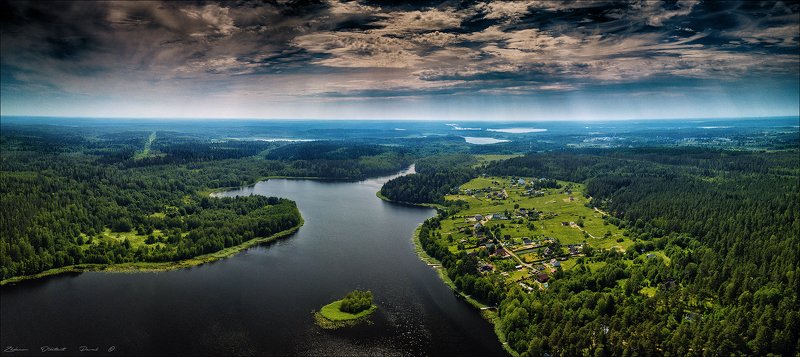 ленинградская область_выборгский район_озеро утиное_лес_июнь_лето_остров Утиное озеро.photo preview