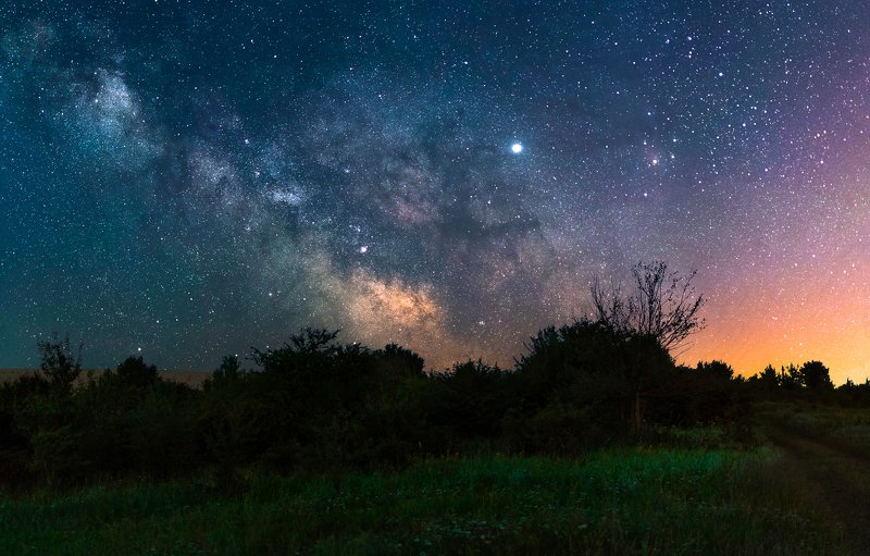 ceclii, nikon d3400 photo preview