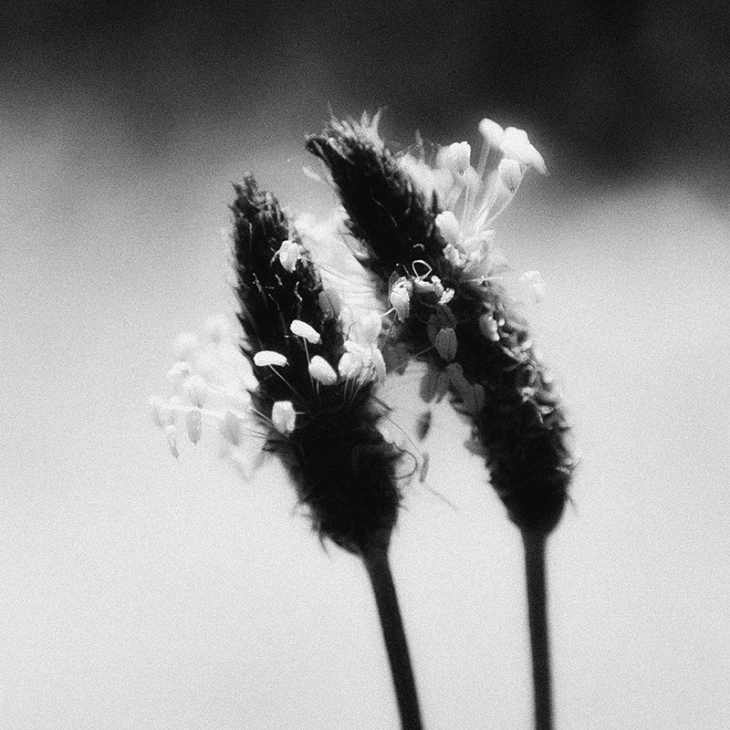 Любовьphoto preview