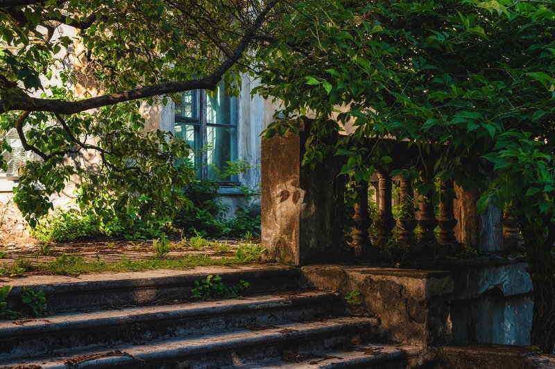 парк город зелень лестница окно уголок лето Забытый уголок большого паркаphoto preview