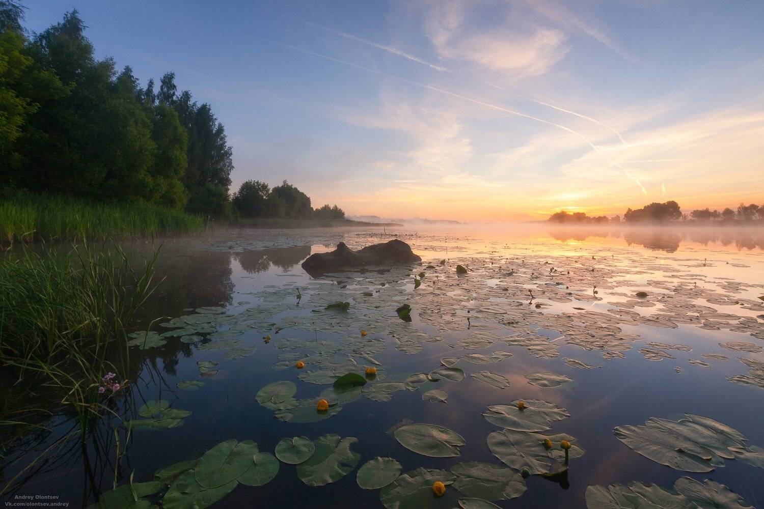 Заводь.. Автор: Андрей Олонцев солнце, россия, рассвет, природа, подмосковье, погода, пейзажи, пейзаж, отражение, наукоград, красота, дубна, вода, весна, weather, water, spring, russia, reflection, naukograd, nature, moscow, landscape, dawn, canon, dubna, beauty, Андрей Олонцев