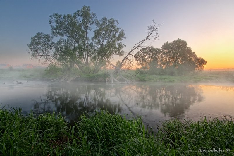 подмосковье, пейзаж, рассвет, moscow region, landscape, dawn Утро туманноеphoto preview